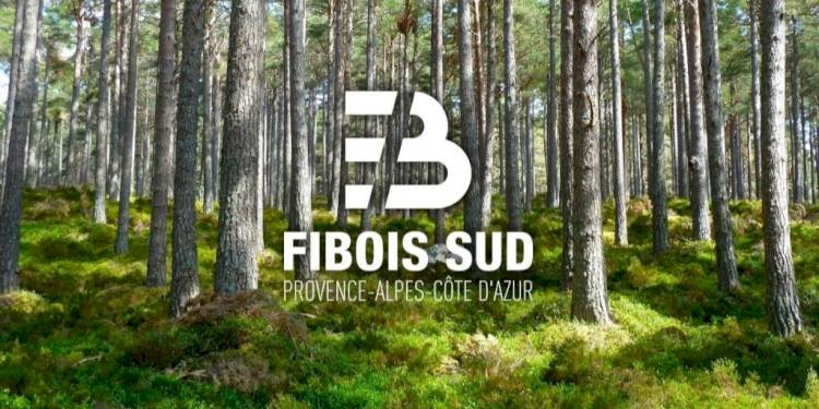 Actualités Rencontres Régionales de la Filière Forêt-Bois – Gap